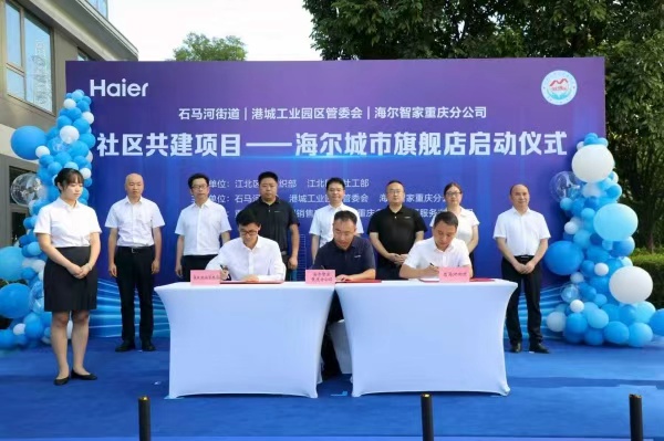 区共建项目落地江北石马河街道凯发海尔“家电整装进小区”社(图3)